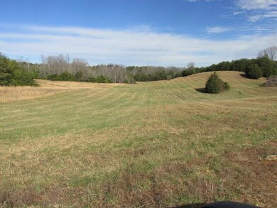 0 Goodbar Rd unit RTC1692001, Mc Minnville, TN 37110 - photo 5