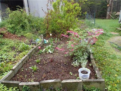 Back Yard.