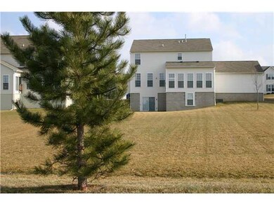 Yard/Garden