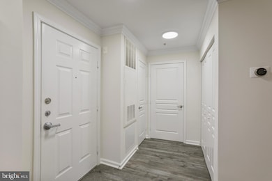 The Market Street Condos unit T35, Reston, VA 20190 - photo 4