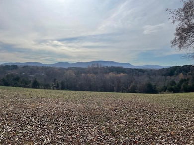 0 Quiet Cove Way Lot 46, Dandridge, TN 37725 - photo 3