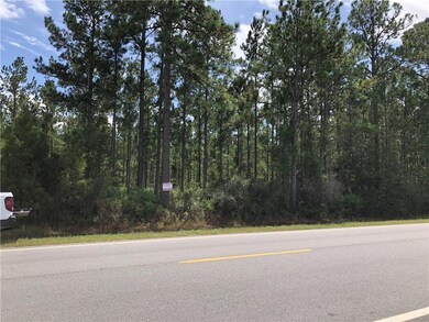 T29 Hwy 121 Hwy, Folkston, GA 31537 - photo 2