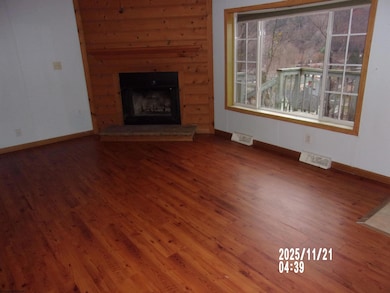 1021 Hendricks Hill Rd, Hendricks, WV 26271 - photo 3