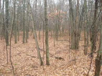 6.41 acres of HIGH AND DRY buildable acres, bring 