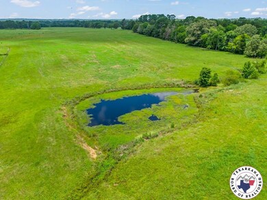 TBD Ranch, Gilmer, TX 75644 - photo 7