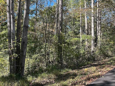 Lot 47A Walleye Way, Scottsville, KY 42164 - photo 2