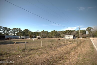 Road front pasture corner