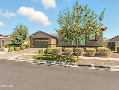 10205 E Seismic Ave, Mesa, AZ 85212 - photo 2