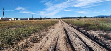 340 W Guymas Trail unit 490, Paulden, AZ 86334 - photo 3