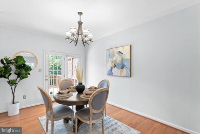 20355 Briarcliff Terrace, Sterling, VA 20165 - photo 7