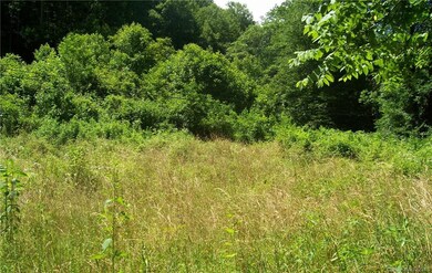 0 Patsy Creek Rd unit 3425310, Burnsville, NC 28714 - photo 2