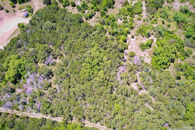 10110 Deer Trail Ln, Helotes, TX 78023 - photo 3