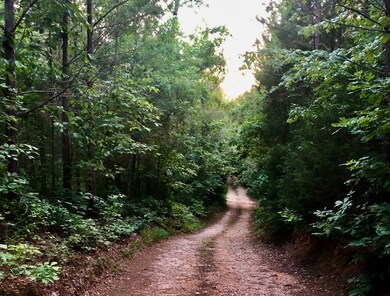 0 Hurricane Creek Rd unit RTC2596234, Linden, TN 37096 - photo 4