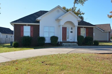 203 Clydesdale Ln, Springfield, TN 37172 - photo 2