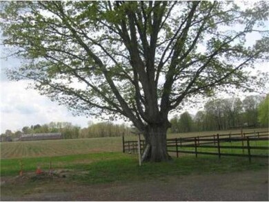 215 State Rd, Whately, MA 01093 - photo 4