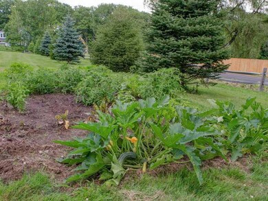 Yard/Garden.
