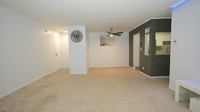 521 73rd St unit 105, Downers Grove, IL 60516 - photo 4