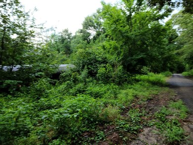 Lot 3 County Road 702, Nacogdoches, TX 75964 - photo 3