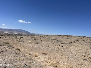 8800 Wildflower Rd, Stagecoach, NV 89429 - photo 4