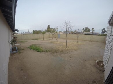 Backyard 1