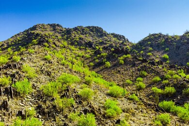 20120801_canyon-8-Edit