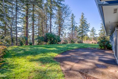 Back yard