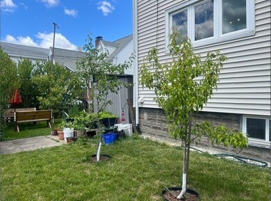 159 Willis Ave unit 1, Medford, MA 02155 - photo 7