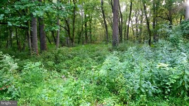 0 River Rd unit 1002277446, Sharpsburg, MD 21782 - photo 2