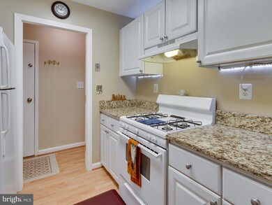 3846 Lyndhurst Dr unit 101, Fairfax, VA 22031 - photo 6