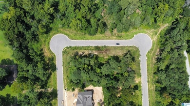 3373 Chandler Way, Hoover, AL 35226 - photo 5