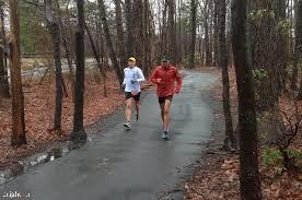 2520 Freetown Dr, Reston, VA 20191 - photo 4