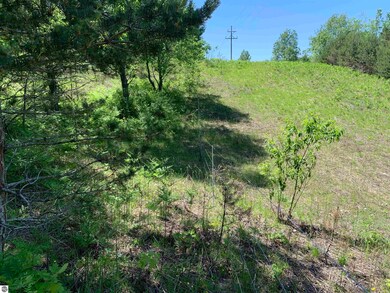 Northern boundary fencing.