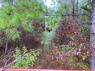 4 hunting-property-copiah-county