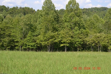 000 Hawk's View Ln, Napier, WV 26631 - photo 6
