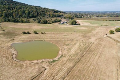 17 Elihu Cabin Hollow Rd, Somerset, KY 42501 - photo 7