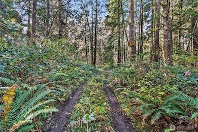 0 Lot 35 Bay Ln, South Bend, WA 98596 - photo 6