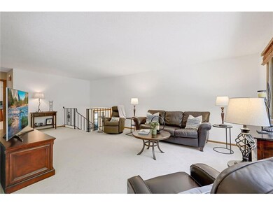 Brand new carpet throughout