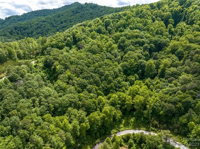 64 Mountain Magnolia Dr unit 51, Leicester, NC 28748 - photo 5