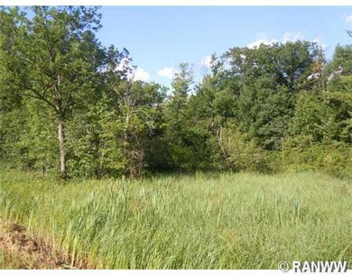 0 Hwy 35 unit 863383, Webster, WI 54893 - photo 5