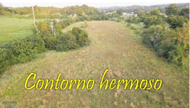 3.1 Bo Cacao Quebradillas Prairie unit 480, Quebradillas, PR 00678 - photo 2