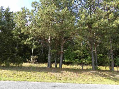 0 Coleridge Rd unit 2384409, Matthews, NC 27344 - photo 7