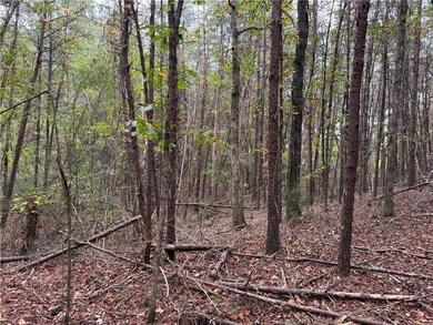 00 Cagle Rd SE, Fairmount, GA 30139 - photo 5