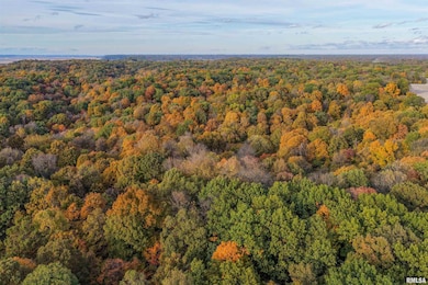 00 Eldred Rd, Richwood Township, IL 62031 - photo 5