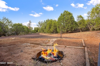 4998RogersLn-ShowLow-AZ-4