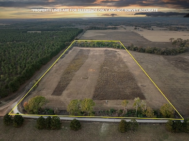 000 An County Road 117, Elkhart, TX 75839 - photo 7