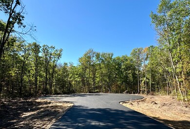 TBD3 Winter Creek Ct, Fairview Township, MN 56468 - photo 5