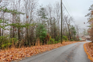 lot 4 Glenview Way, Sevierville, TN 37862 - photo 2