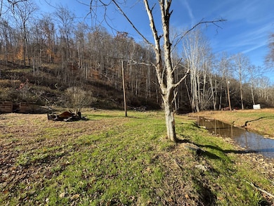 310 Tanner Fork, Shock, WV 26638 - photo 4