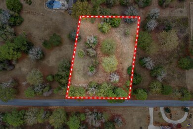 65 Craftway Dr, Hawkinsville, GA 31036 - photo 4