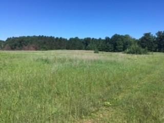 XXX Cty C Rd, Webster, WI 54893 - photo 4